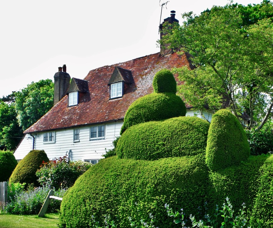 A white weatherboarded cottage behind clipped hedges at Newenden in Kent